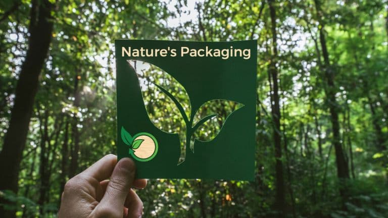 A hand holds a green cutout with a leaf design, symbolizing Nature's Packaging and its commitment to sustainability.