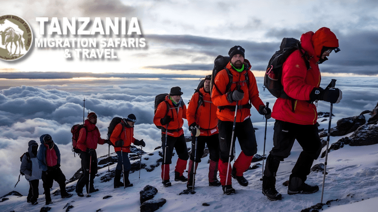 Kilimanjaro Trekkers: Adventurers climb Mount Kilimanjaro, immersed in a breathtaking sunrise scene.