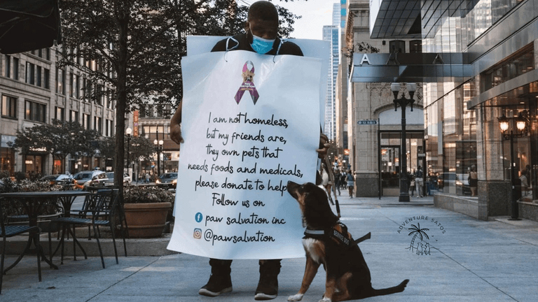 A man with a sign advocating for donations to support pets in need in Chicago.