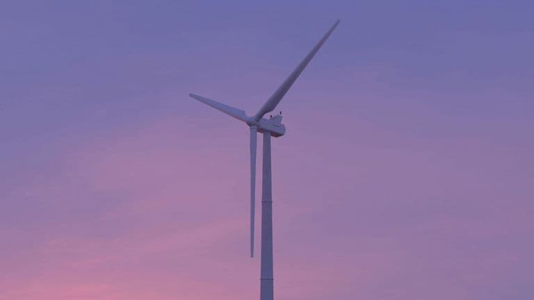 The Rise of Green Tech Startups: U.S. Innovators Leading Clean Energy Solutions in 2025