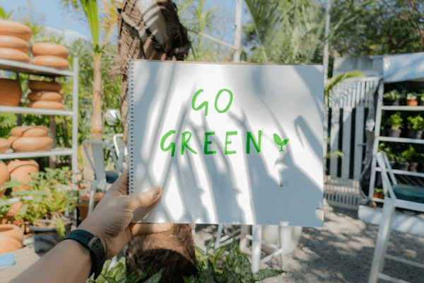 Sustainability as a Competitive Advantage: Why CEOs Are Prioritizing Green Initiatives in 2024