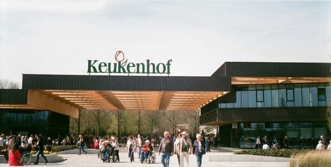 Keukonholf