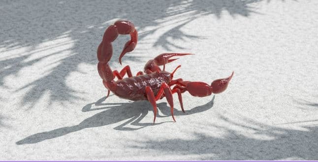 Scorpio