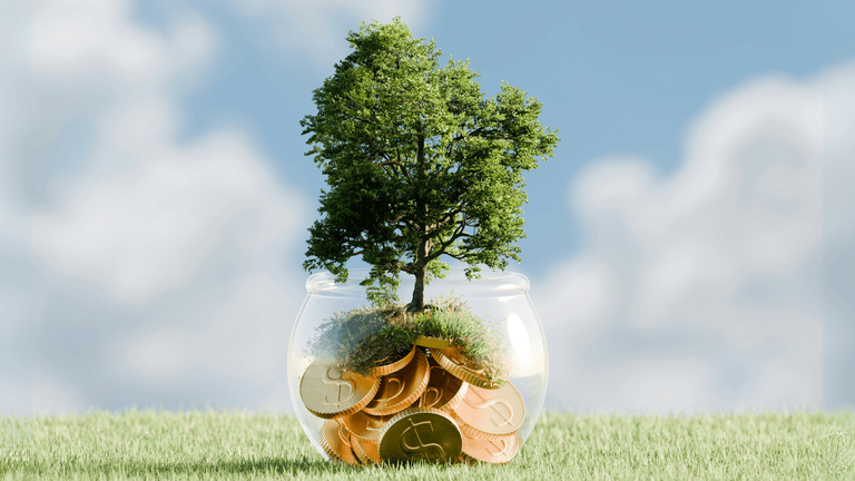 "Tree growing from a jar of coins symbolizing financial growth and investment, with a backdrop of grassy fields and blue sky."