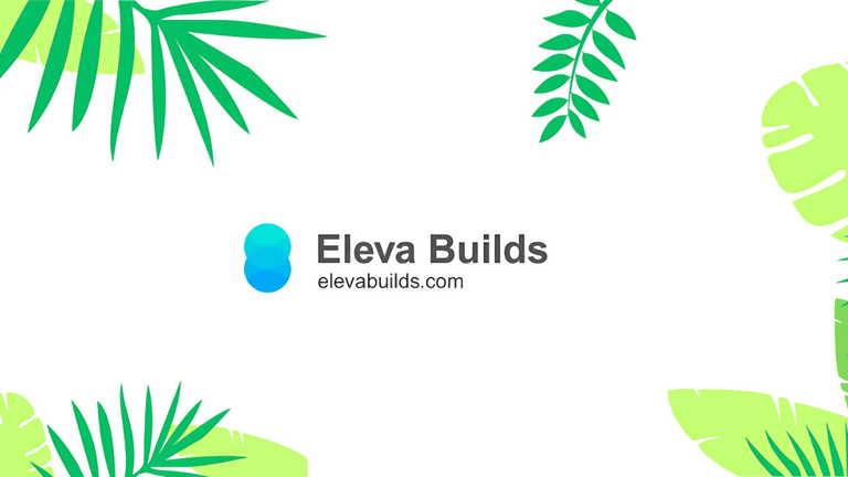 Eleva Builds logo with tropical green leaf illustrations surrounding it, highlighting the company name and website 'elevabuilds.com' in a clean, modern design.