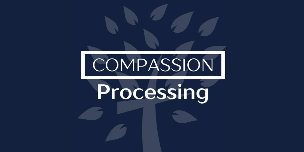 Compassion Processing, a mission-driven merchant services company offering transparent payment solutions and supporting community impact."