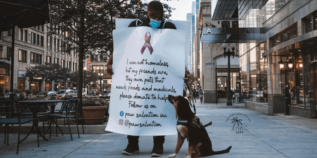 A man with a sign advocating for donations to support pets in need in Chicago.