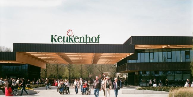 Keukonholf