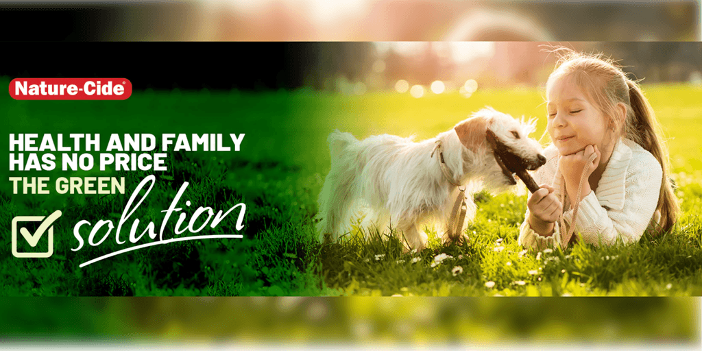Med-X, Inc. Is Making A Difference With Science-Backed Eco-Friendly Pest Control Solutions Globally