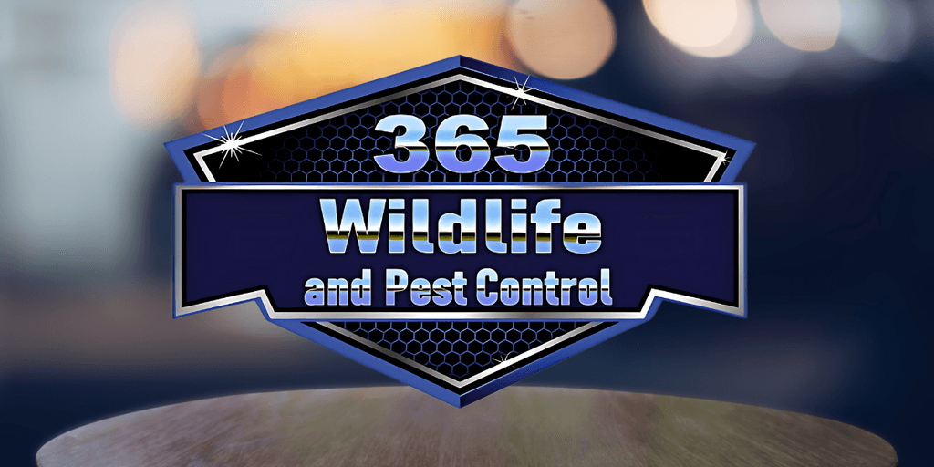 365 Wildlife & Pest Control