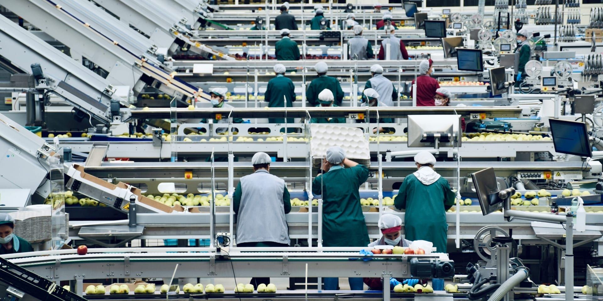 Executive Strategy Update: How Firms Are Handling Trade-Driven Cost Pressures