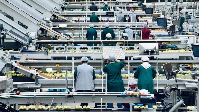 Executive Strategy Update: How Firms Are Handling Trade-Driven Cost Pressures