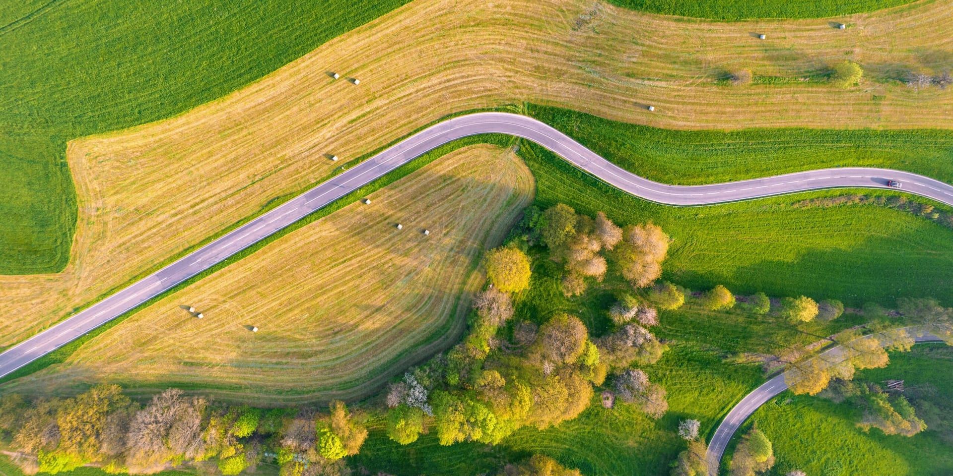 Global Business Trends in 2025: Navigating the Landscape of Innovation and Sustainability