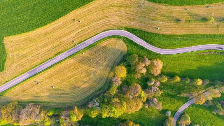 Global Business Trends in 2025: Navigating the Landscape of Innovation and Sustainability