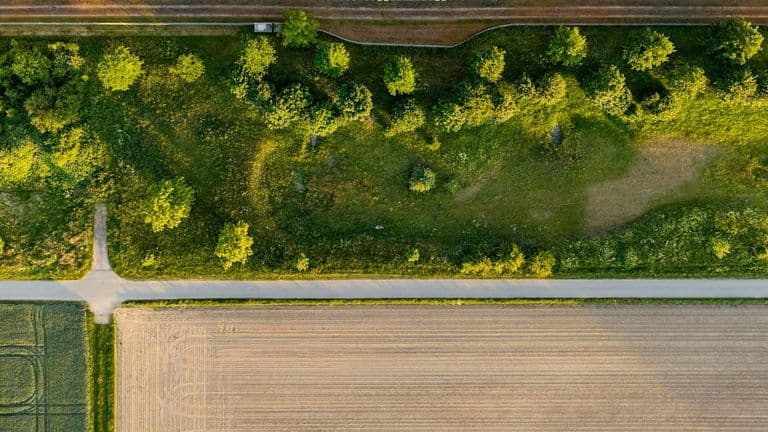 Driving Future Business Growth: The Role of Sustainability and Technology in 2023