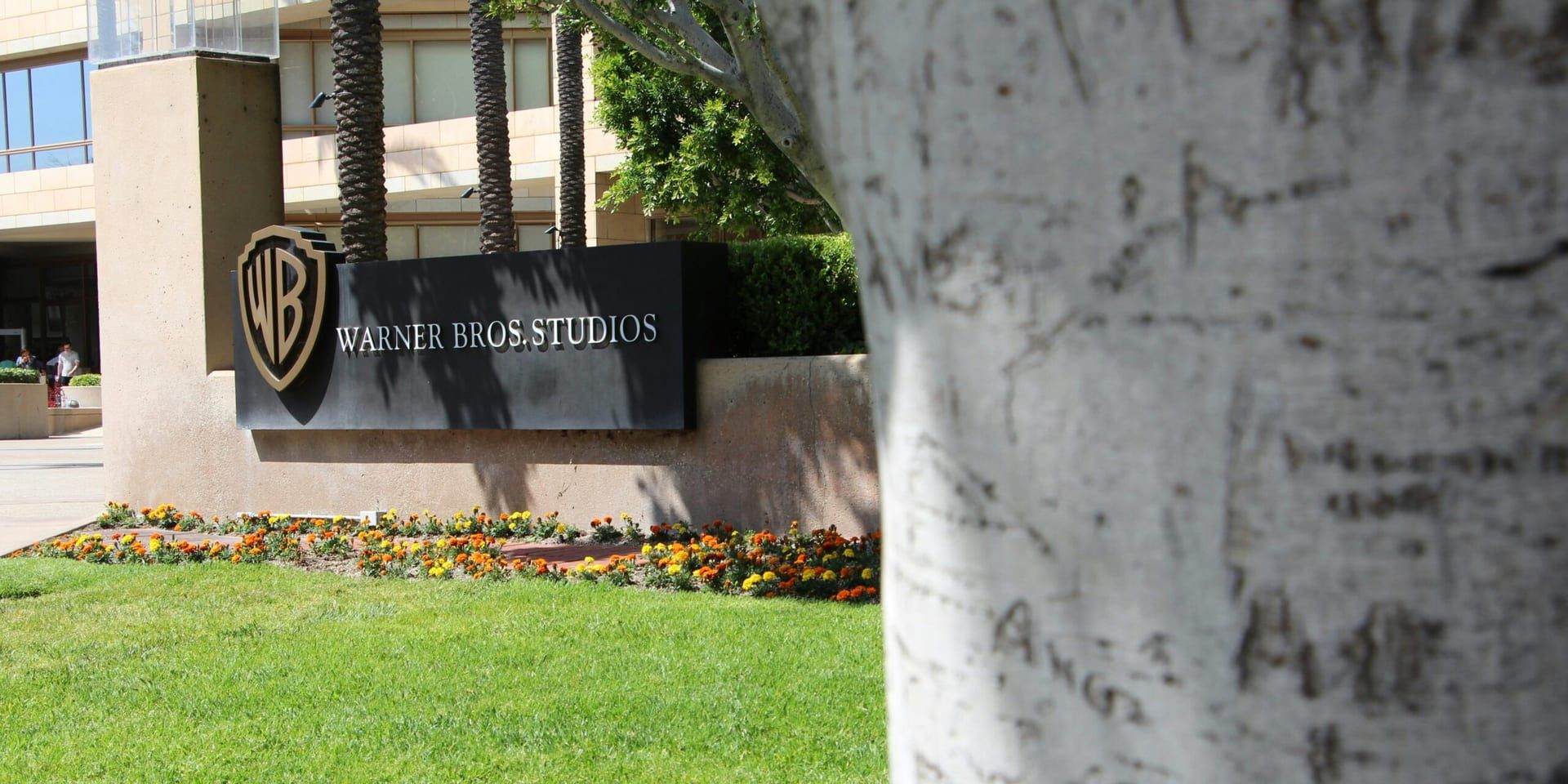 Streaming and Media Industry Sees Intensified M&A Activity as Warner Bros. Discovery Becomes Center of High-Stakes Bidding War