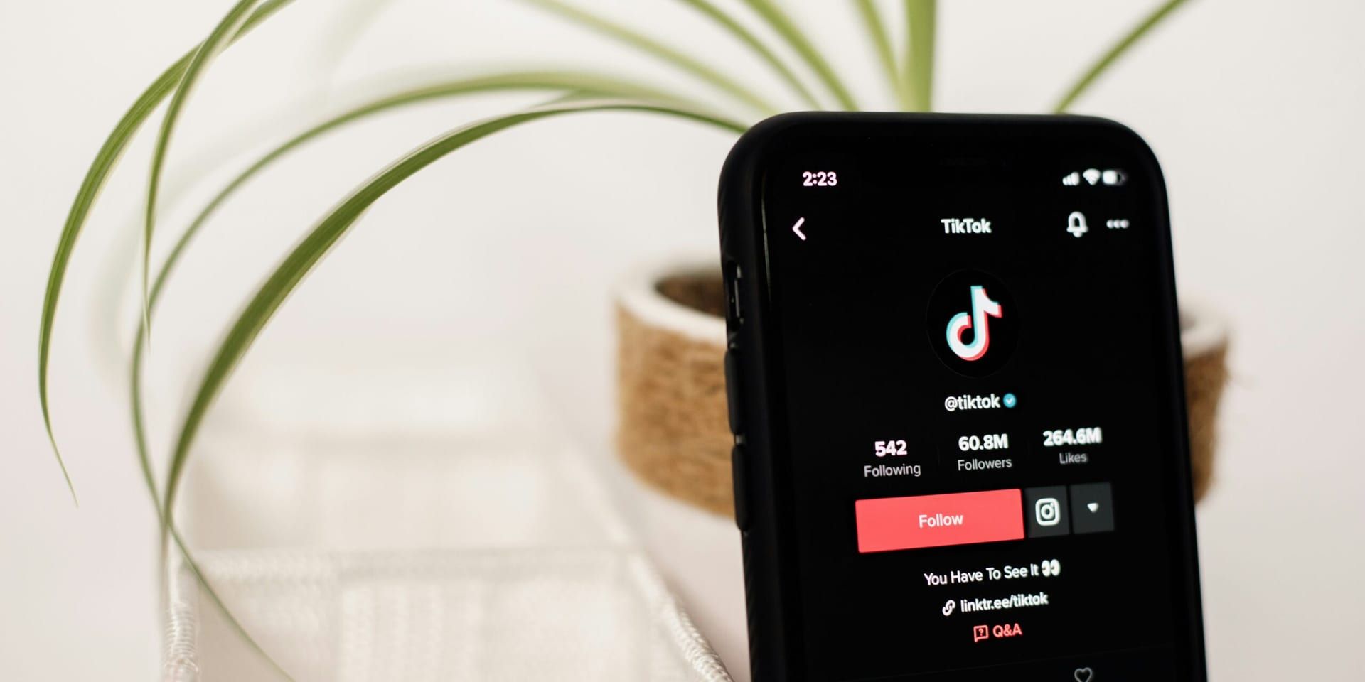 TikTok Finalizes U.S. Entity and Appoints New Leadership Amid Regulatory Scrutiny