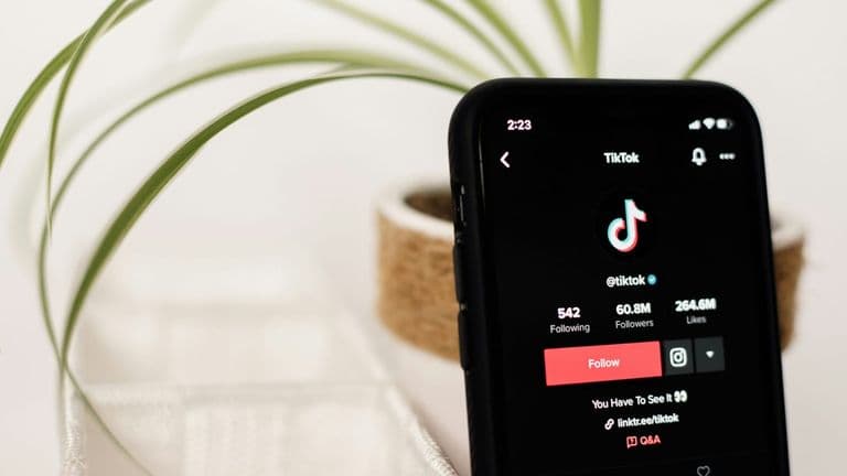 TikTok Finalizes U.S. Entity and Appoints New Leadership Amid Regulatory Scrutiny
