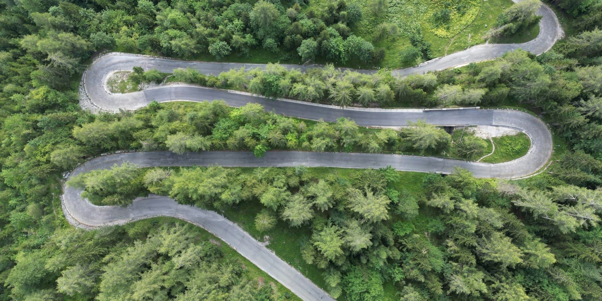Navigating Uncertainty and Driving Long-Term Business Sustainability