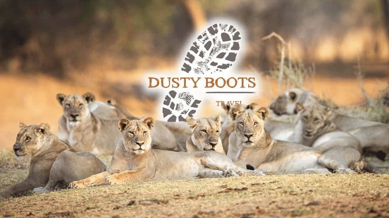 Dusty Boots Travel