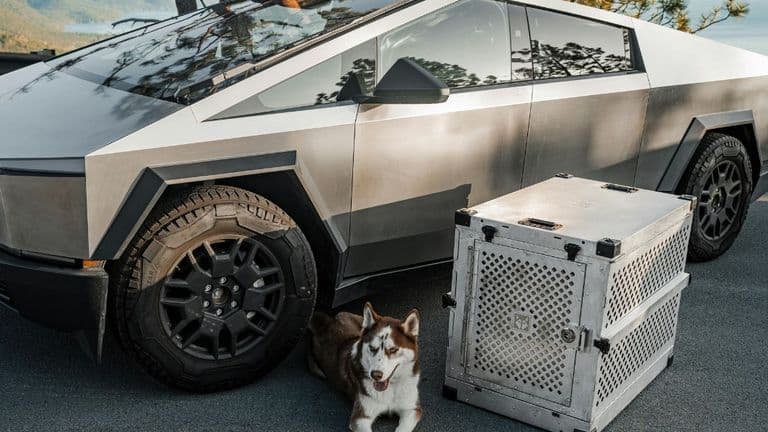 Tesla Unveils Solid-State Battery Technology Set for 2025 Release