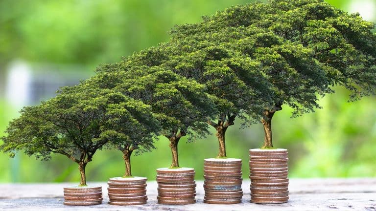 Accelerating Global Economic Growth Supported by Trade & Policy Easing
