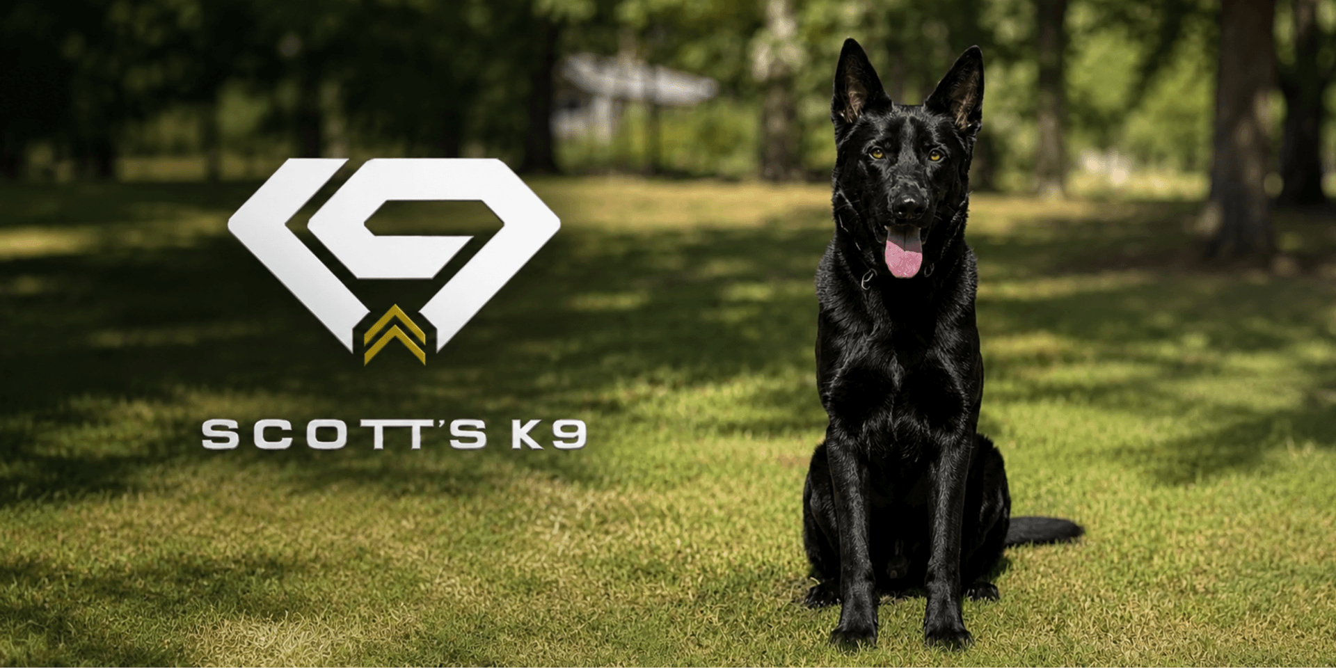 Black dog sitting on grass next to Scott's K9 logo