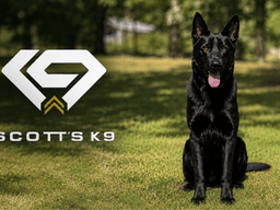 Black dog sitting on grass next to Scott's K9 logo