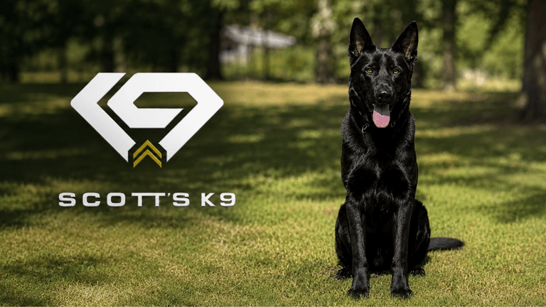 Black dog sitting on grass next to Scott's K9 logo