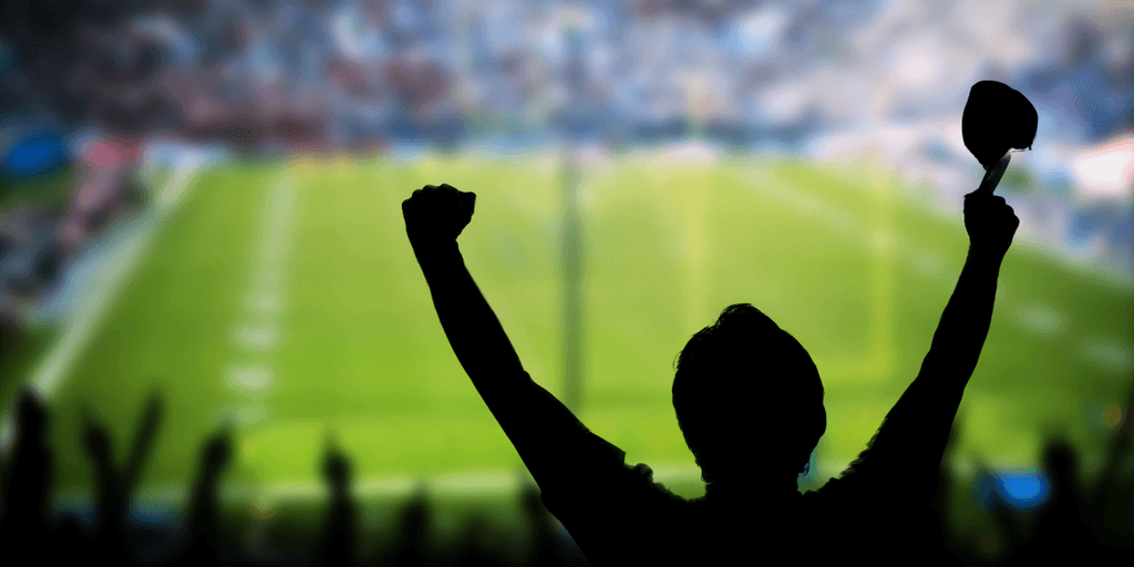 Silhouette of a cheering fan in a stadium during a sports event