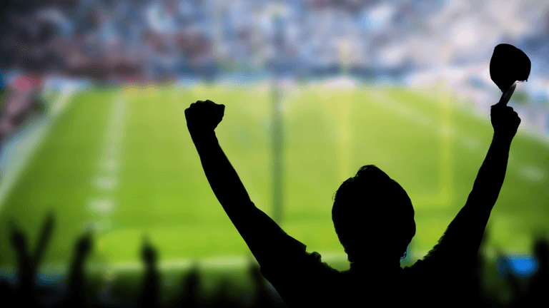 Silhouette of a cheering fan in a stadium during a sports event