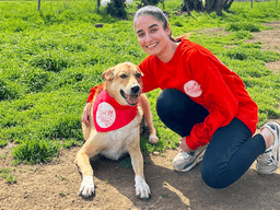 A person in a red sweater kneels next to a dog wearing a bandana