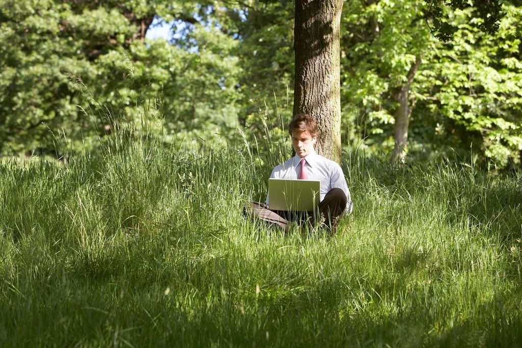 Embrace spring: the perfect season for job hunting success