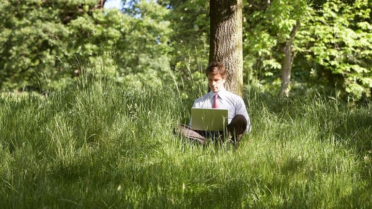 Embrace spring: the perfect season for job hunting success