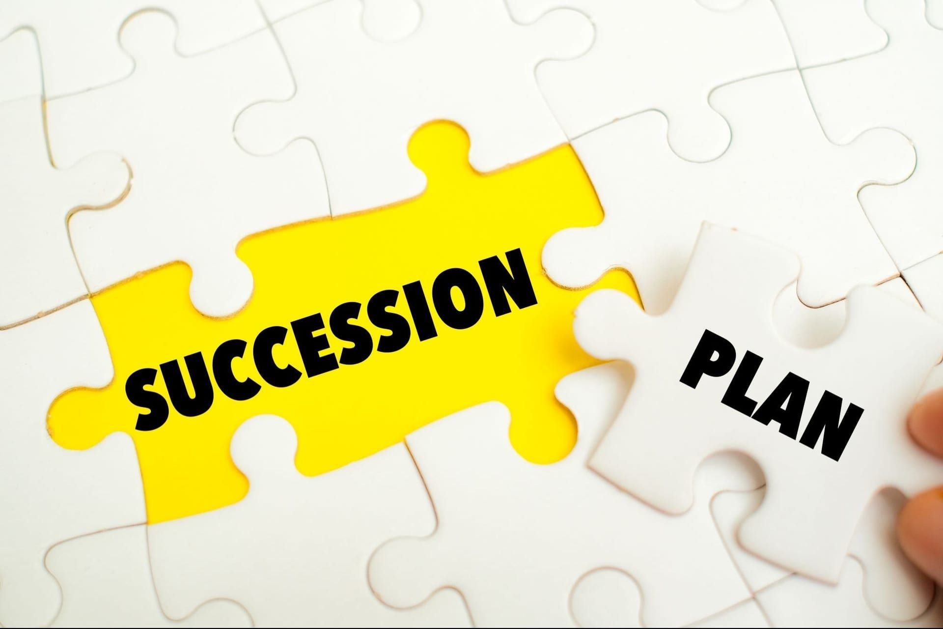 Family lessons for corporate succession: navigating boardroom challenges