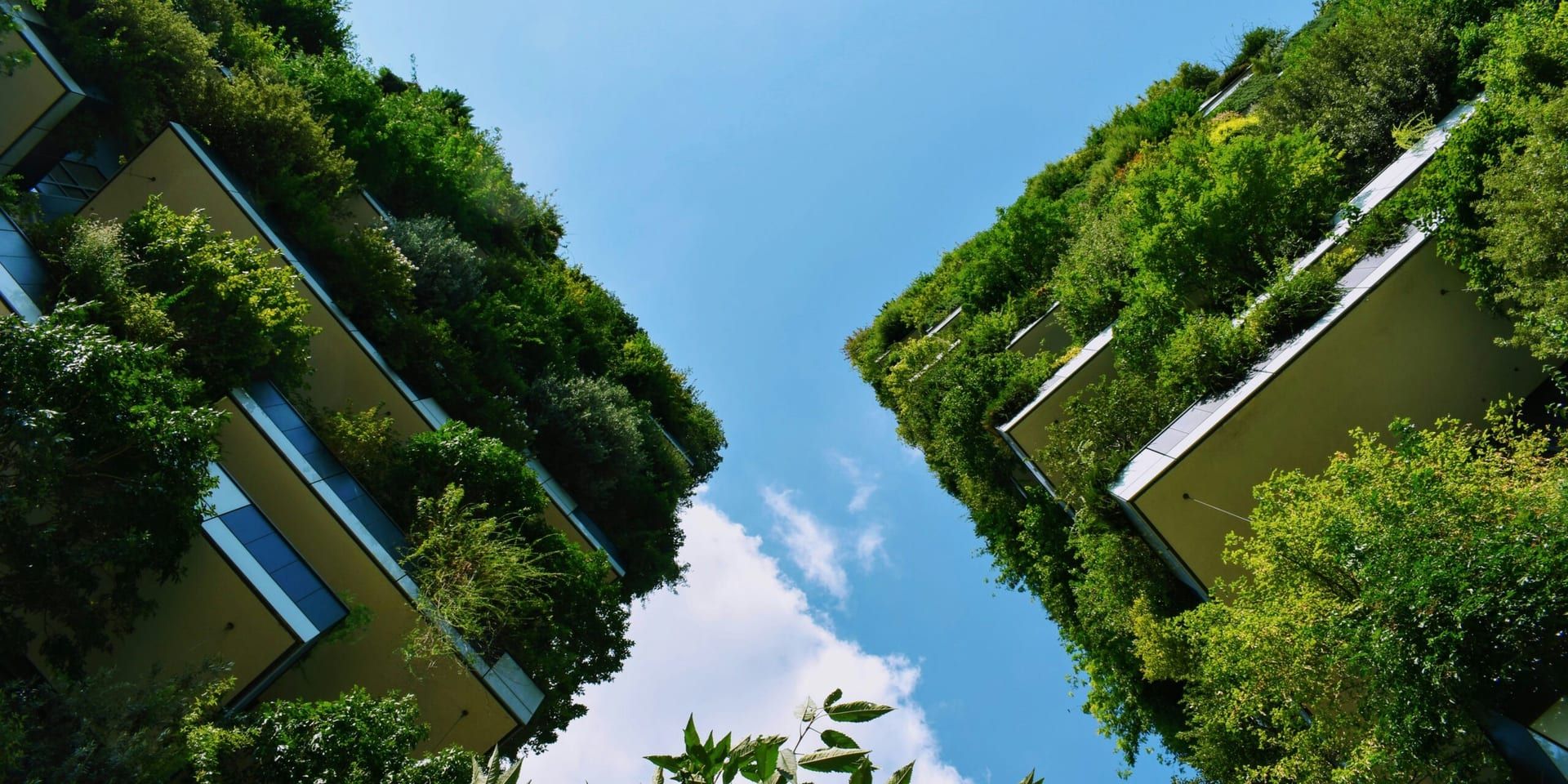 Global Sustainability Business Forum: Leading the Charge for a Greener Future