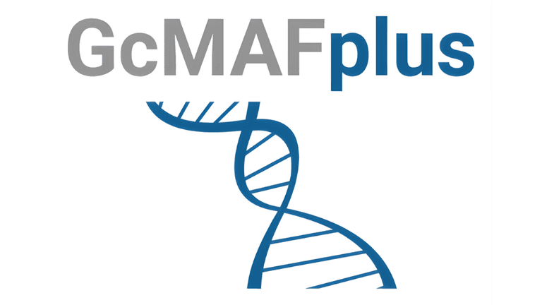 GcMAFplus® is redefining immune health with scientifically rigorous, bioidentical GcMAF solutions rooted in a personal journey of discovery.
