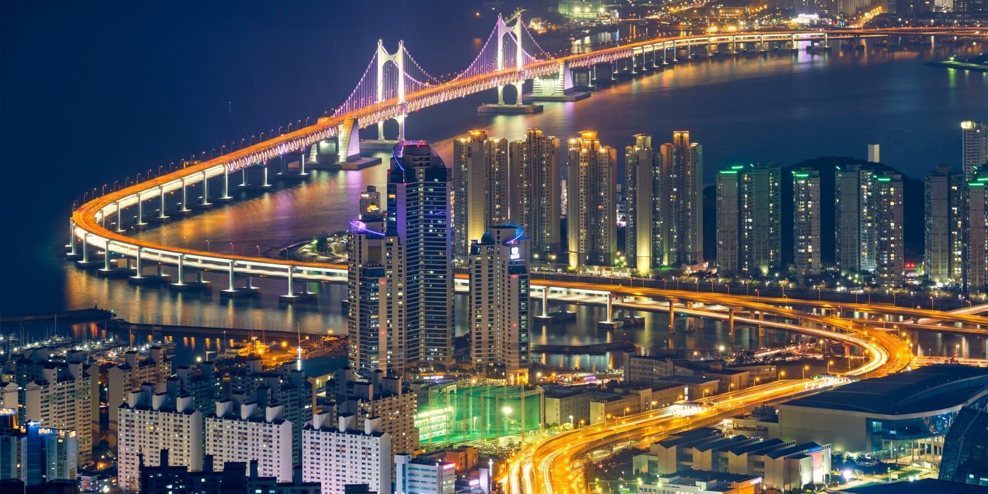 November 2024 International Business and Innovation Expo: Bridging the Gap for Global Growth