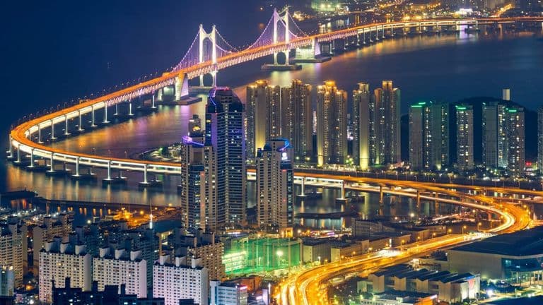 November 2024 International Business and Innovation Expo: Bridging the Gap for Global Growth