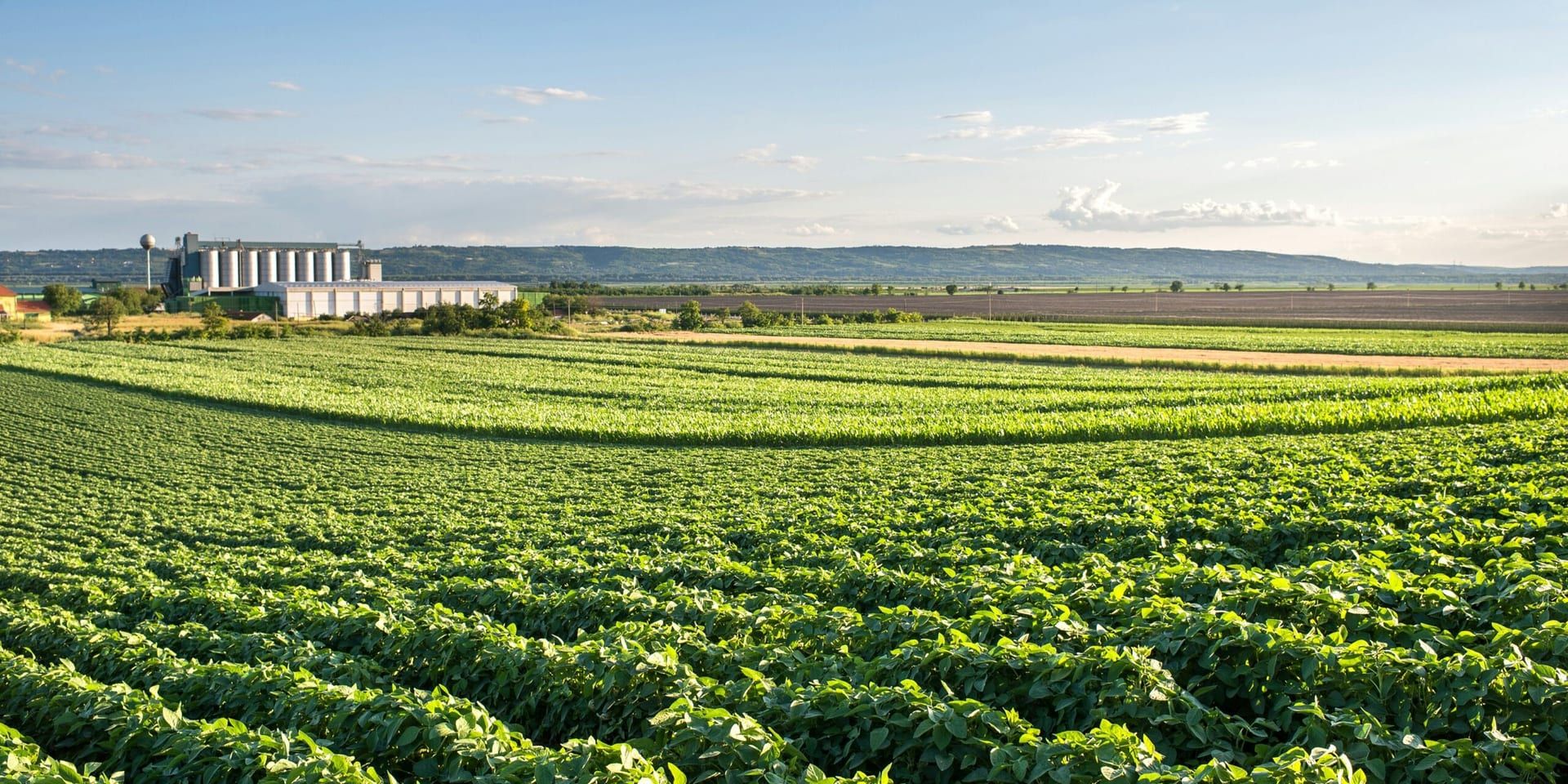 Brenda Dehart Named CEO of Foremost Farms USA, Signaling Strategic Focus and Internal Continuity