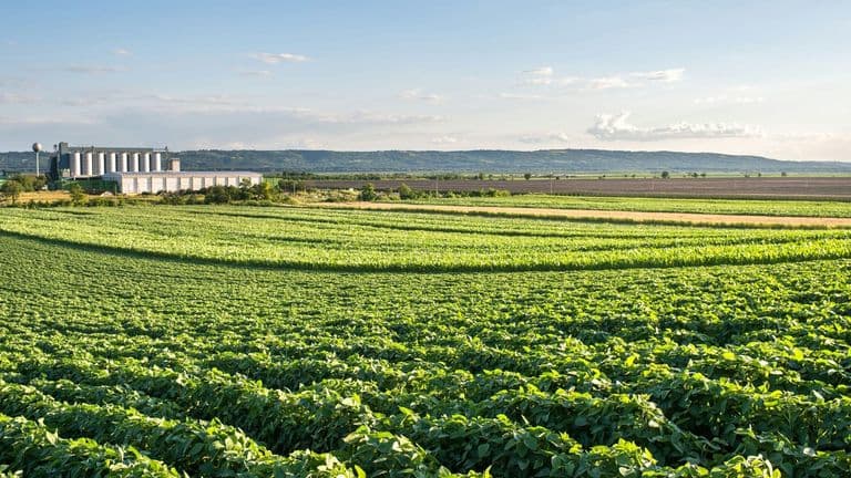 Brenda Dehart Named CEO of Foremost Farms USA, Signaling Strategic Focus and Internal Continuity
