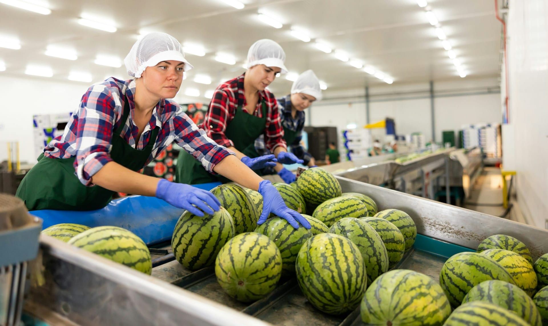 Q1 CEO Turnover Slows but Remains Elevated in U.S. Amid Economic and Regulatory Pressures