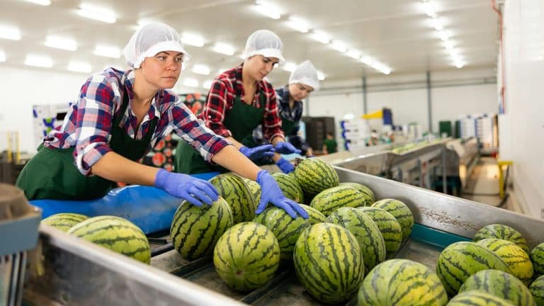 Q1 CEO Turnover Slows but Remains Elevated in U.S. Amid Economic and Regulatory Pressures