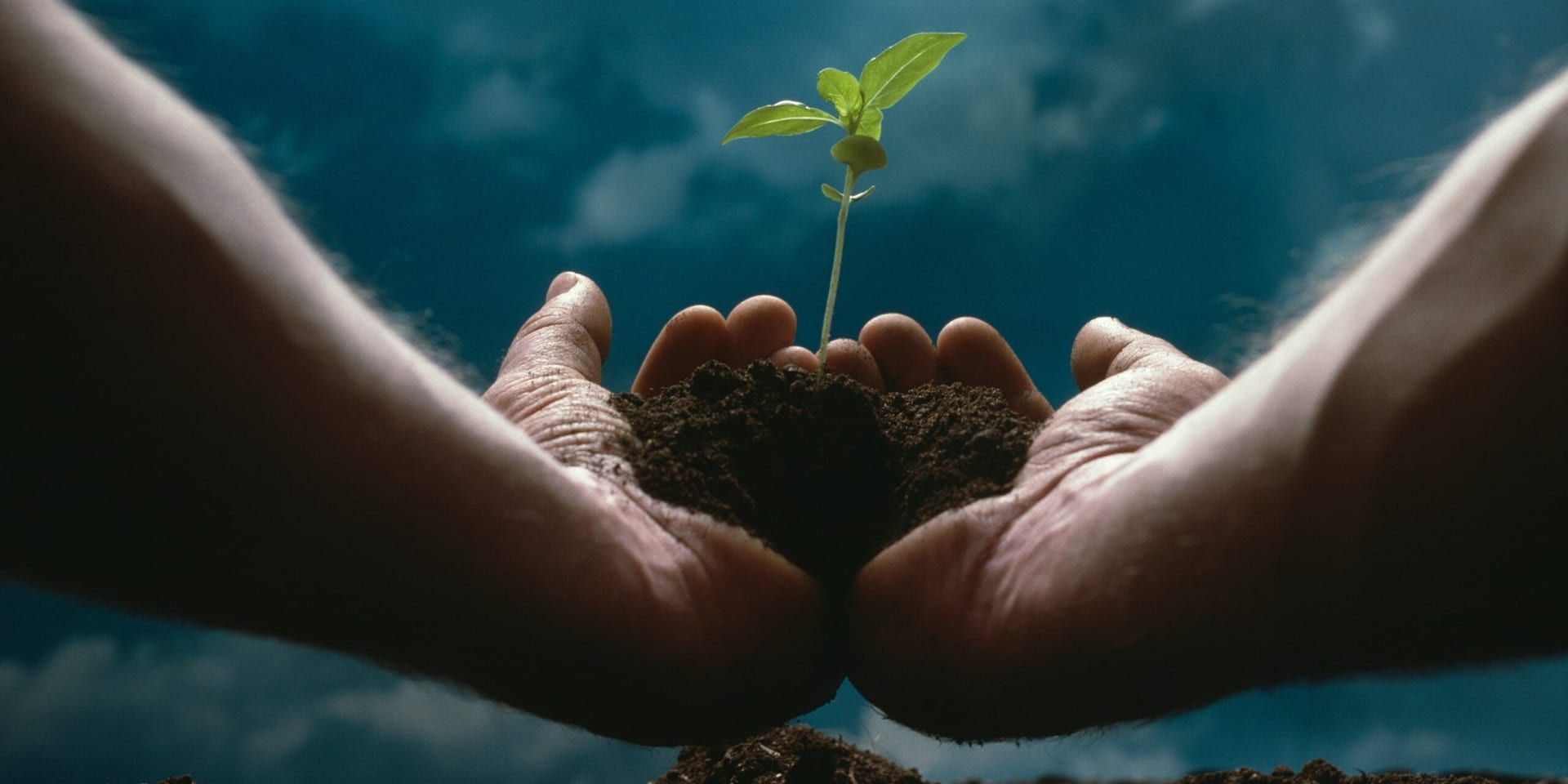 Meta’s Strategic Shift: Embracing AI for Sustainable Growth
