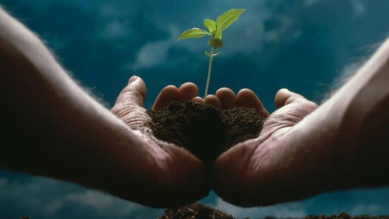 Meta’s Strategic Shift: Embracing AI for Sustainable Growth