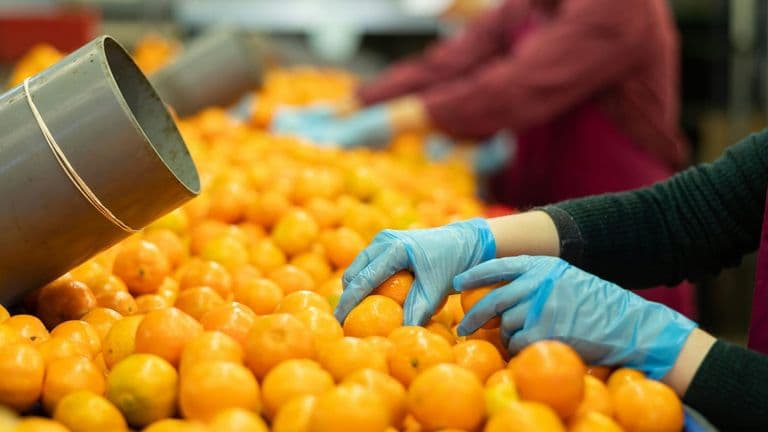 Global Food Costs Climb Amid Conflict and Supply Chain Woes