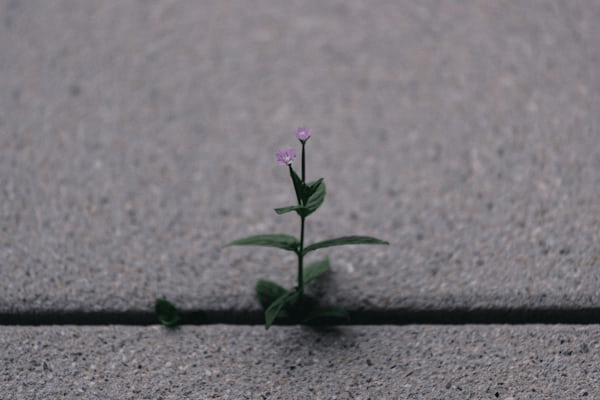 image-11-1784631156603.png