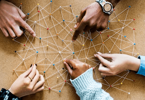 The CEO’s Role in Fostering Innovation Through Diversity and Inclusion in 2024