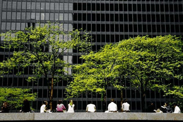 June 2023: CEOs Championing Corporate Social Responsibility (CSR)