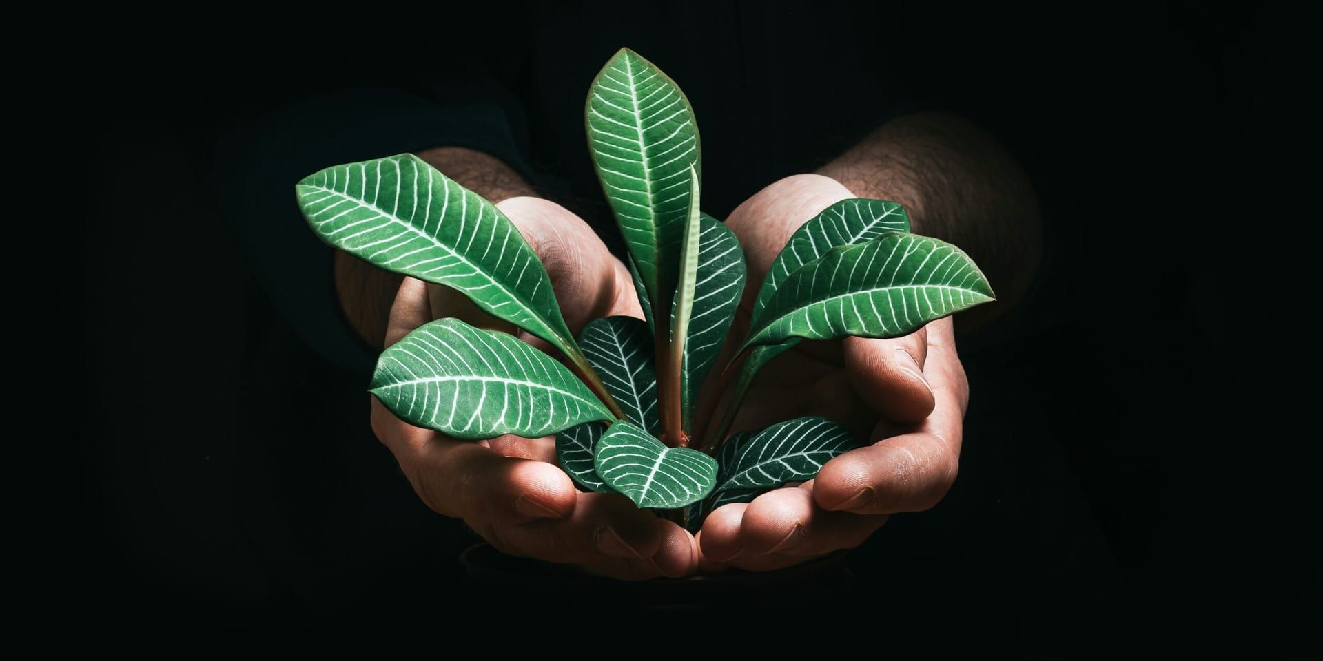 AI and Sustainability Drive Investment in 2025